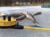 Ice fishing trip